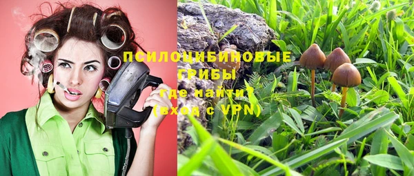каннабис Абаза