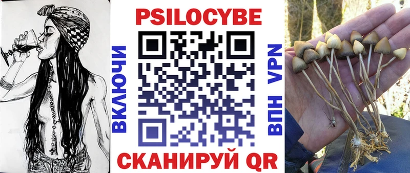 Псилоцибиновые грибы Psilocybine cubensis  что такое   Пудож 